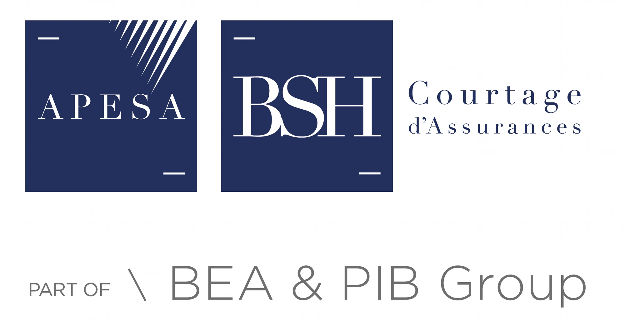 APESA — BSH Courtage d’Assurances, membre du groupe BEA & PIB